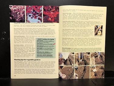 Road & Track - April, 1981