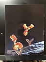 June 21 Supplement, Frontiers of Medical Research: Immunology, 2024