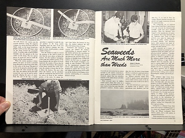 July / August, 1974