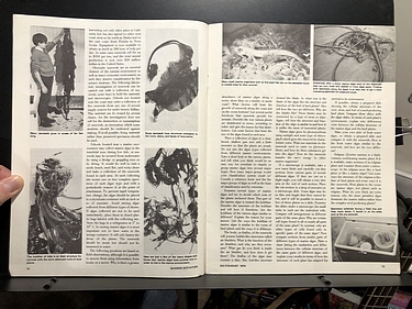July / August, 1974