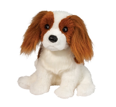 Press Release - Douglas Kingsley the Cavalier King Charles Spaniel