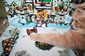 Lego Advent Calendar 2010 day 5 Lego Advent Calendar 2010 day 5