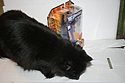 DC Universe Classics: Raven DC Universe Classics: Raven