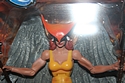 DC Universe Classics: Hawkgirl