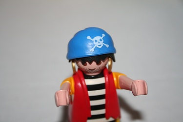 Playmobil Advent Calendar - 2012