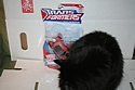 Transformers Animated - Toys R Us Exclusives: Ironhide
