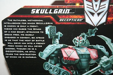 Transformers More Than Meets The Eye (2010) - Skullgrin