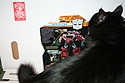 Transformers More Than Meets The Eye (2010) - Perceptor Deluxe Class