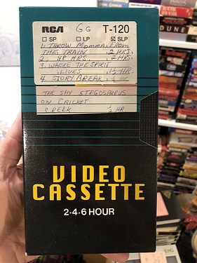 Toledo - Tape G-G - (MOLD) - story break: the shy stegosaurus on cricket creek
